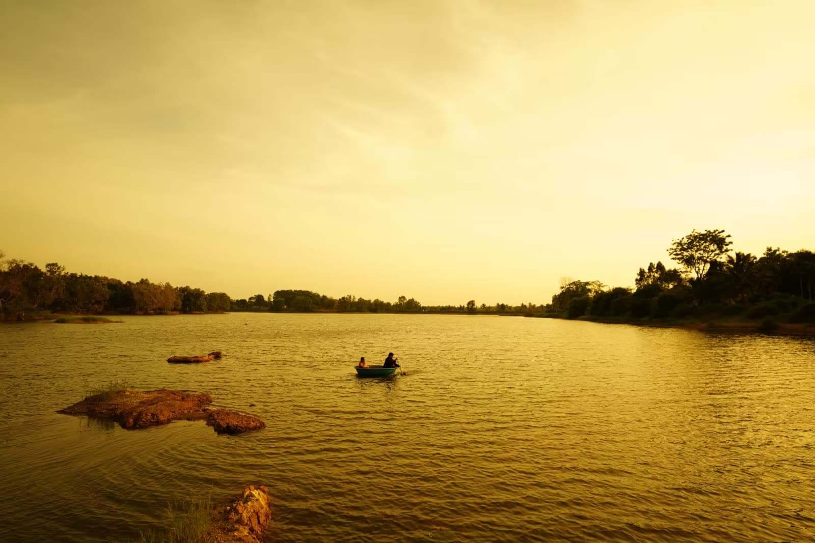 Golden-hour light over the water and fields at Vintage Farms