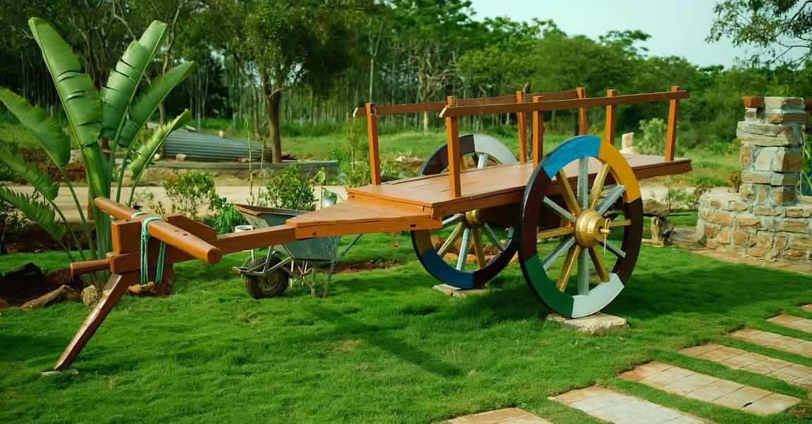 A hand-built wooden bullock cart resting on the farm's lawn